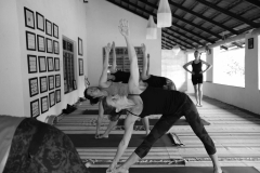 Ashtanga Nirvrta India - Philippa Asher