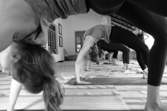 Ashtanga Nirvrta India - Philippa Asher