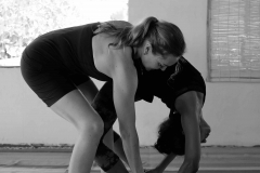 Ashtanga Nirvrta India - Philippa Asher