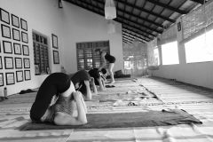 Ashtanga Nirvrta India - Philippa Asher