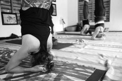 Ashtanga Nirvrta India - Philippa Asher