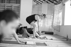 Ashtanga Nirvrta India - Philippa Asher