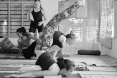 Ashtanga Nirvrta India - Philippa Asher