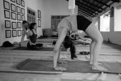 Ashtanga Nirvrta India - Philippa Asher