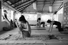 Ashtanga Nirvrta India - Philippa Asher