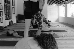 Ashtanga Nirvrta India - Philippa Asher
