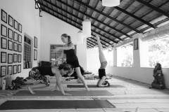 Ashtanga Nirvrta India - Philippa Asher