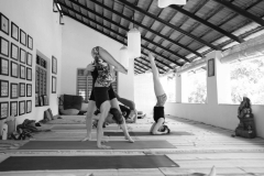 Ashtanga Nirvrta India - Philippa Asher