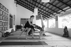 Ashtanga Nirvrta India - Philippa Asher