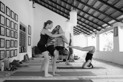 Ashtanga Nirvrta India - Philippa Asher