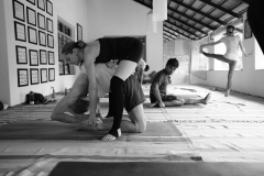Ashtanga Nirvrta India - Philippa Asher