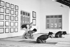 Ashtanga Nirvrta India - Philippa Asher