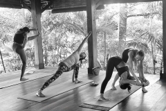 Prasaritta Padottansana - Philippa Asher