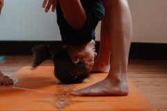 Prasarita Padottanasana - Philippa Asher