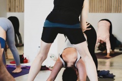 Downward Dog - Philippa Asher