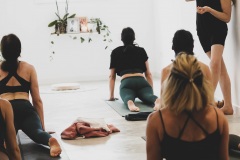 Upward Dog - Philippa Asher