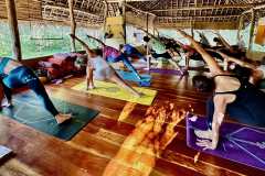Parsvakonasana A - Philippa Asher