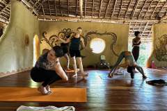 Pasasana - Philippa Asher