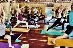 Surya Namaskara B - Philippa Asher