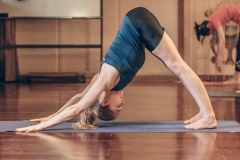 Downward Dog - Philippa Asher