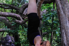 Vrikshasana - Philippa Asher