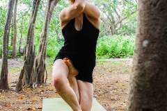 Vatayanasana - Philippa Asher