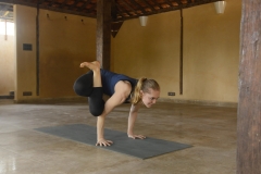 Punga Kukkutasana - Philippa Asher