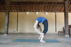 Tirieng Mukha Uttanasana - Philippa Asher