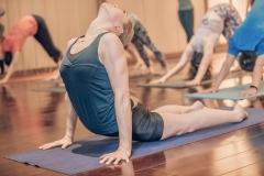 Upward Dog - Philippa Asher