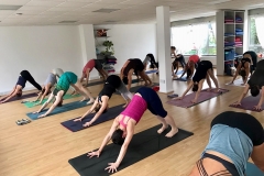 Ashtanga Yoga London - Philippa Asher