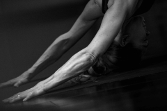 Downward Dog -Philippa Asher