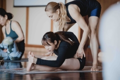 Ardha Baddha Padma Pascimattonasana - Philippa Asher