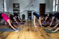 29.-Adho-Mukha-Uttanasana
