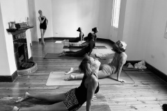 Upward Dog - Philippa Asher