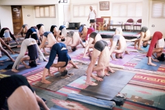 Prasarita Padotanasana A - KPJAYI - Philippa Asher
