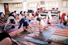 Prasarita Padotanasana C  - KPJAYI - Philippa Asher