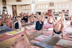 Dwi Pada Sirsasana B - KPJAYI - Philippa Asher