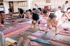 Tittibhasana B - KPJAYI - Philippa Asher