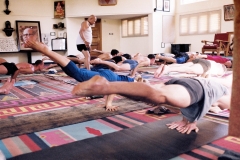 Mayurasana - KPJAYI - Philippa Asher