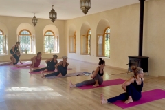 Marichyasana C - Philippa Asher