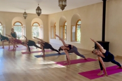 Parivrtta Parsvakonasana - Philippa Asher