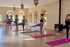  Utthita Hasta Padangusthasana - Philippa Asher