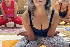 Kukkutasana - Philippa Asher