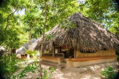 Hut